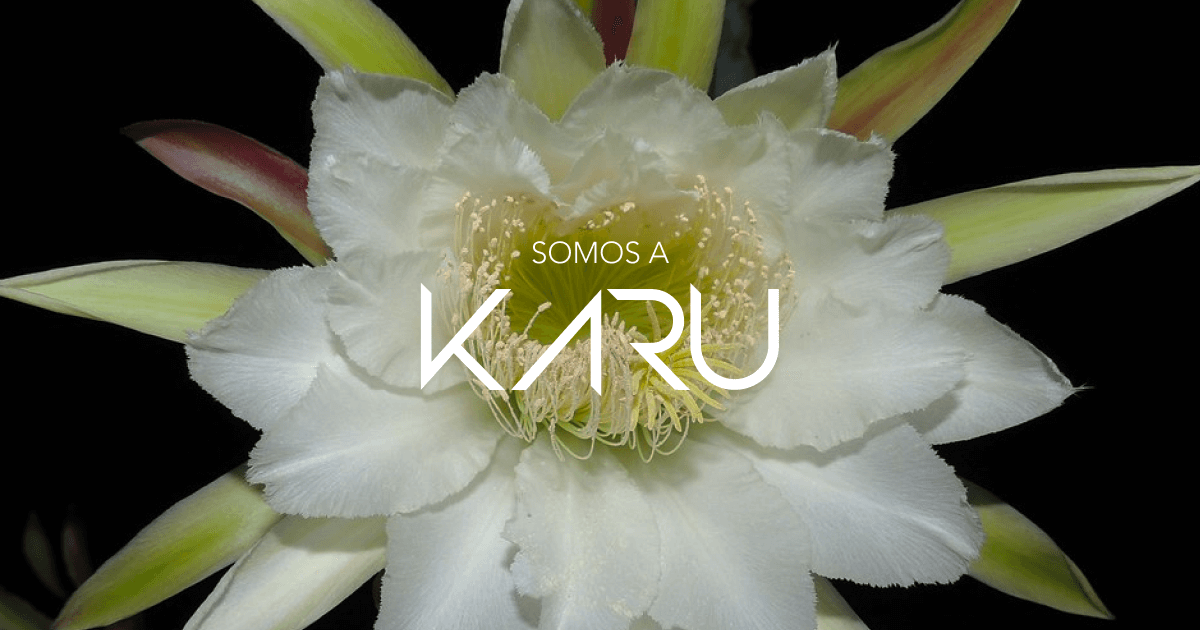 Agencia Karu